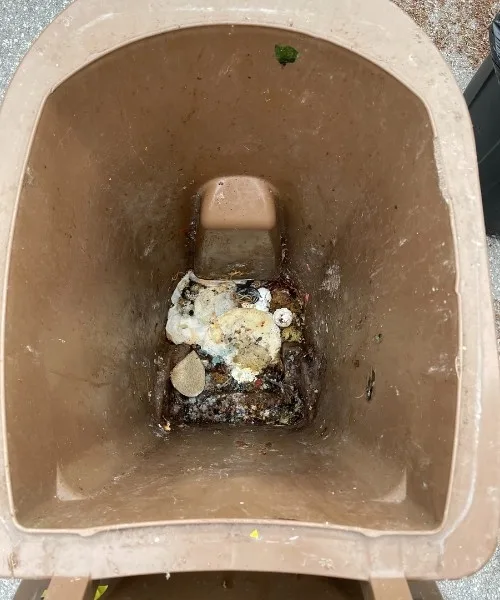 Dirty brown organic waste bin before cleaning